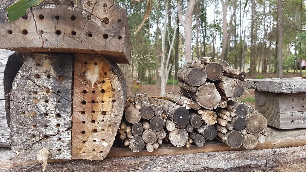 Honeybee Wellness Resort Kandanga Australia