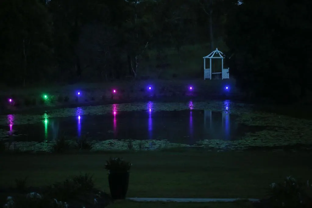 Farm stay Honeybee Wellness Resort Kandanga Australia