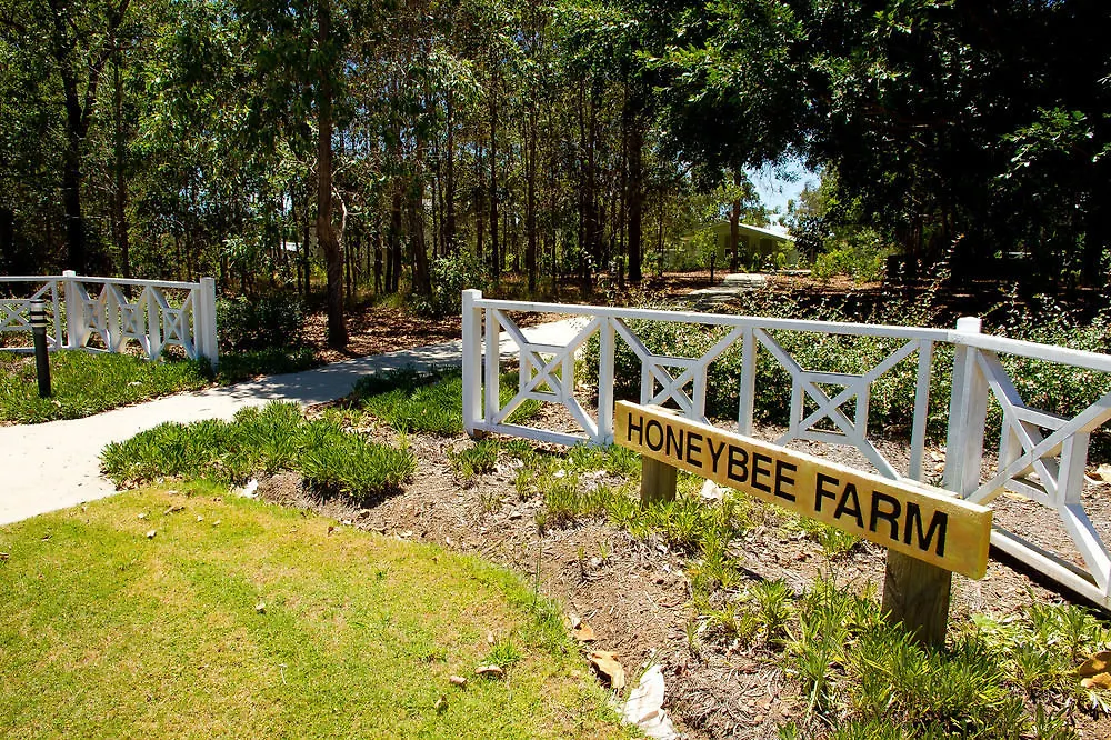 Farm stay Honeybee Wellness Resort Kandanga
